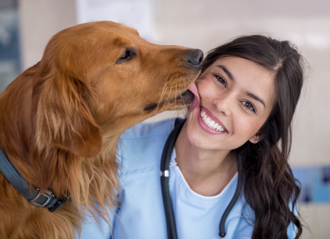 Dog giving kiss to the vet dog licking the vet's face East Valley