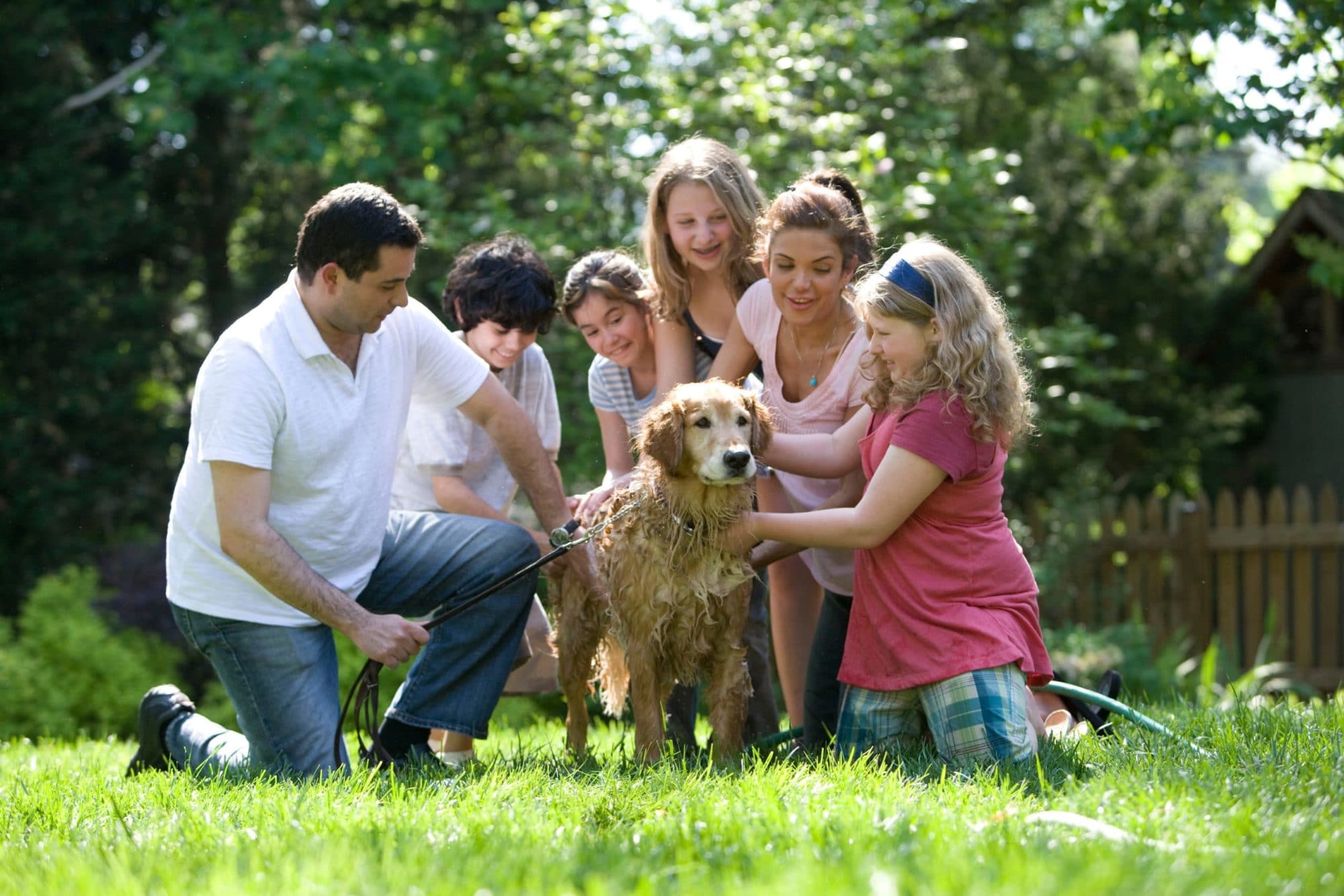 8-great-dog-breeds-for-families-with-kids