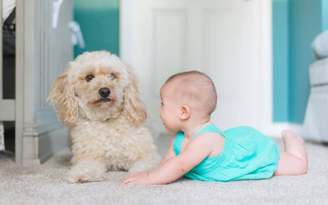 8 Great Dog Breeds for Families with Kids