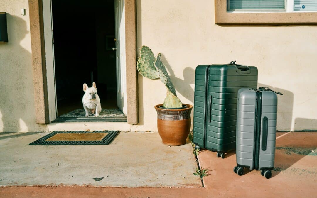 dog in a doorway - taking care of pets during the holiday